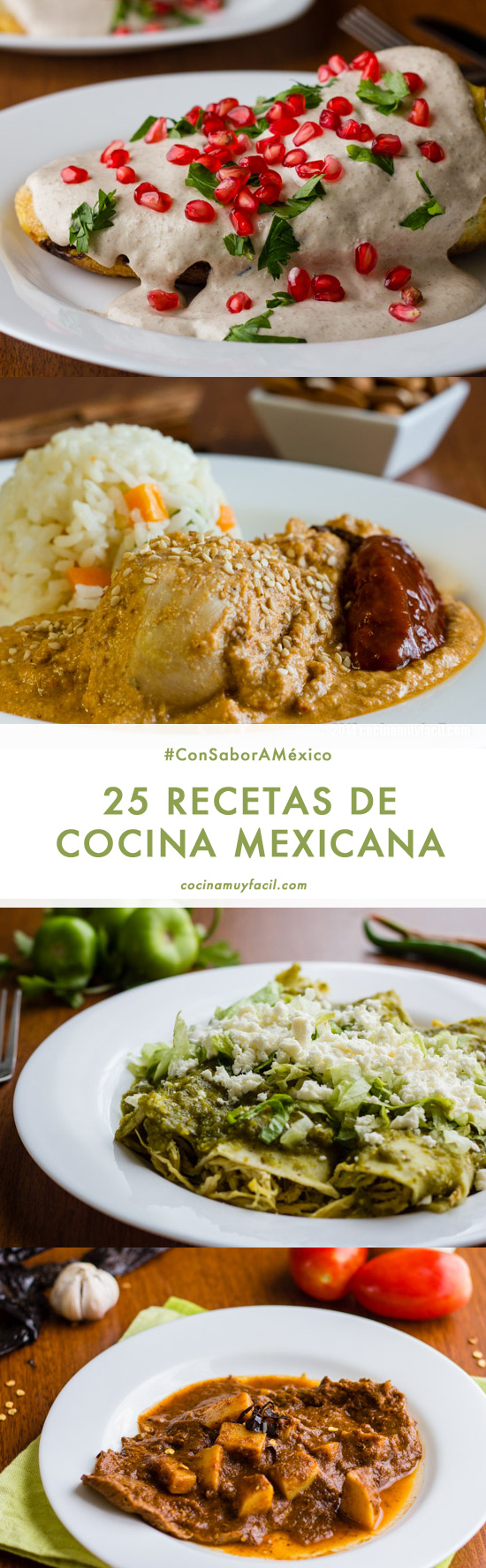 25 recetas de cocina mexicana | cocinamuyfacil.com
