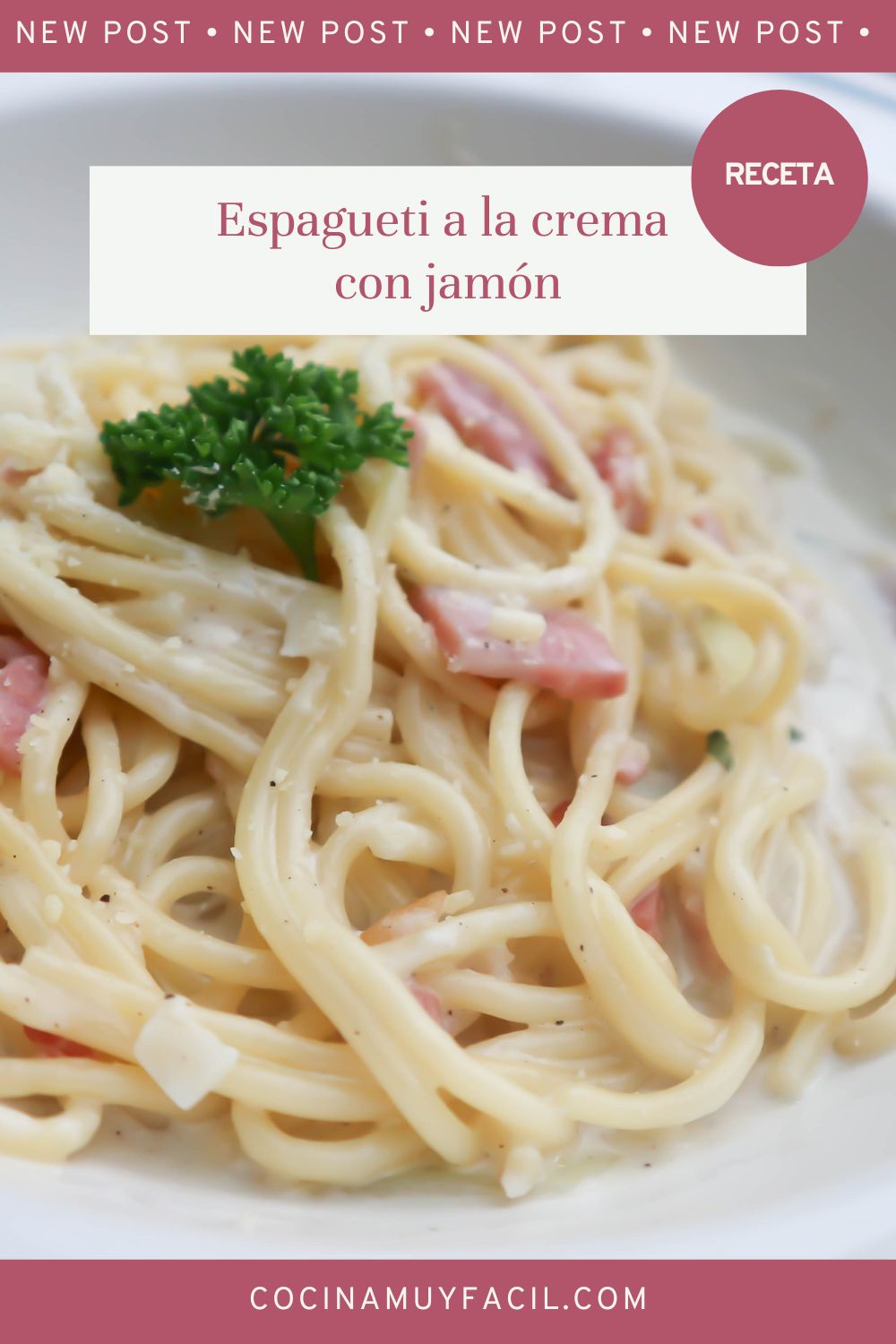 Túnica vender Permiso Espagueti a la Crema con Jamón. Receta | Cocina Muy Facil