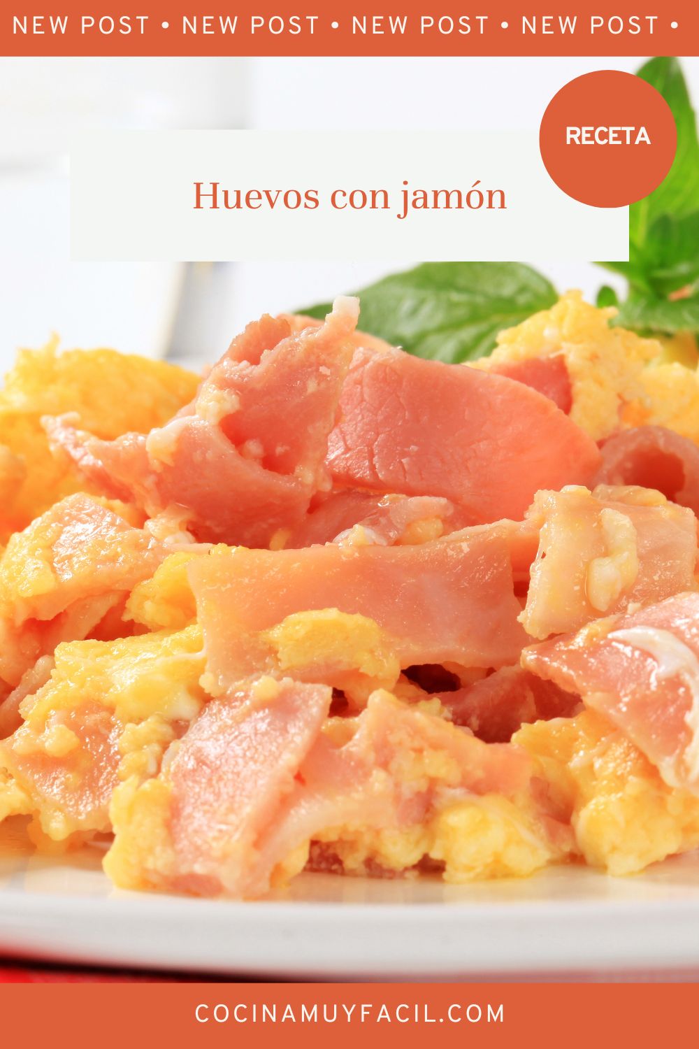 Huevos con jamón. Receta | Cocina Muy Facil